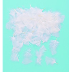 Valged suled pakis on 20g- umbes 130 sulge