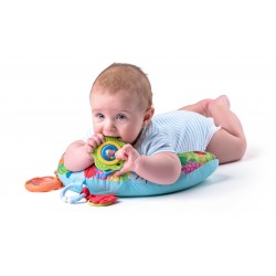 C-kujuline padi "Niny"