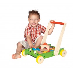 Käru ehitusplokkidega "Frog"